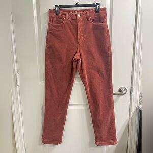 American Eagle Outfitters Terracotta Corduroy Pants | Size 8 Long